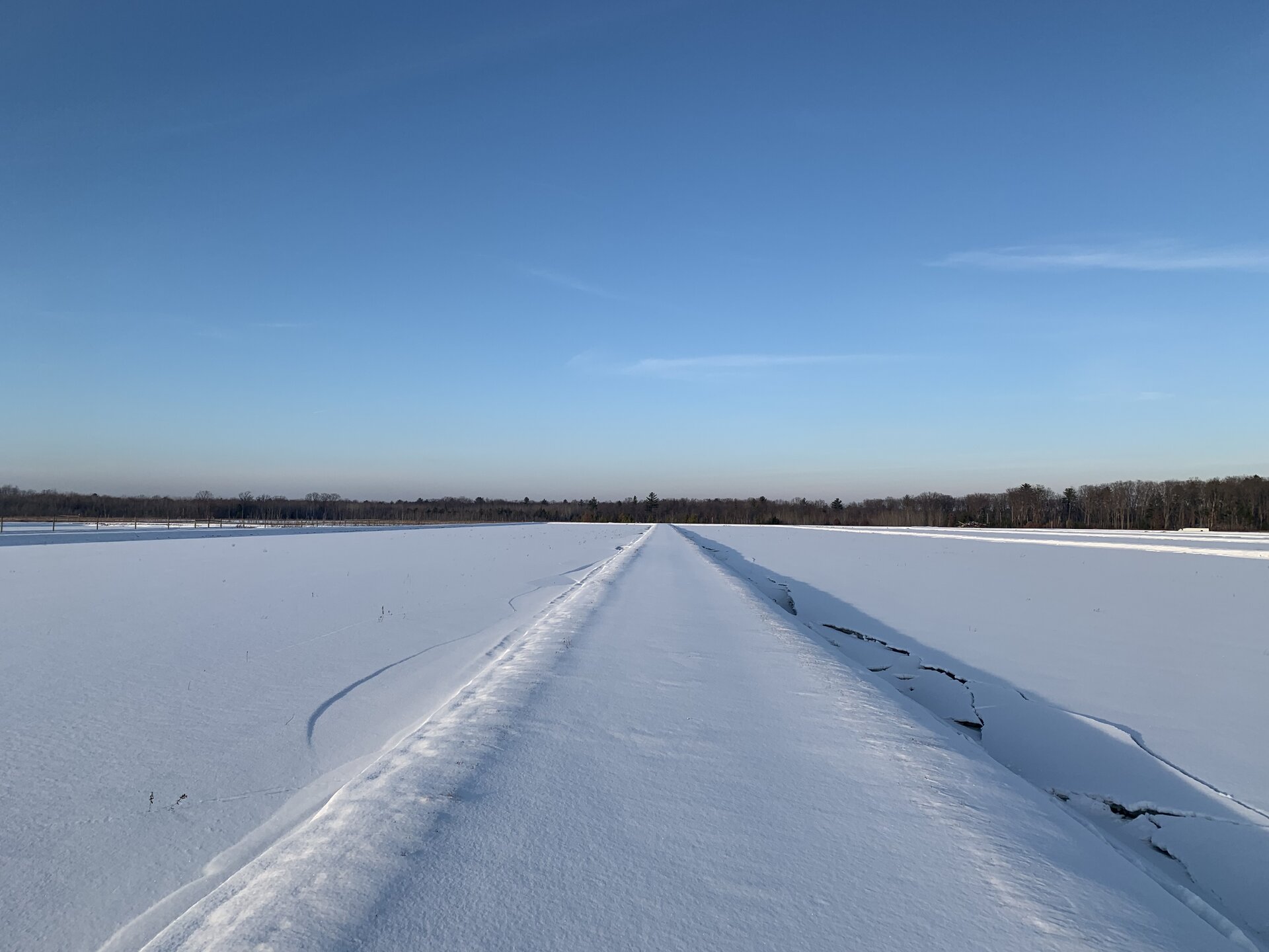 Winter flood protecting cranberry vines
