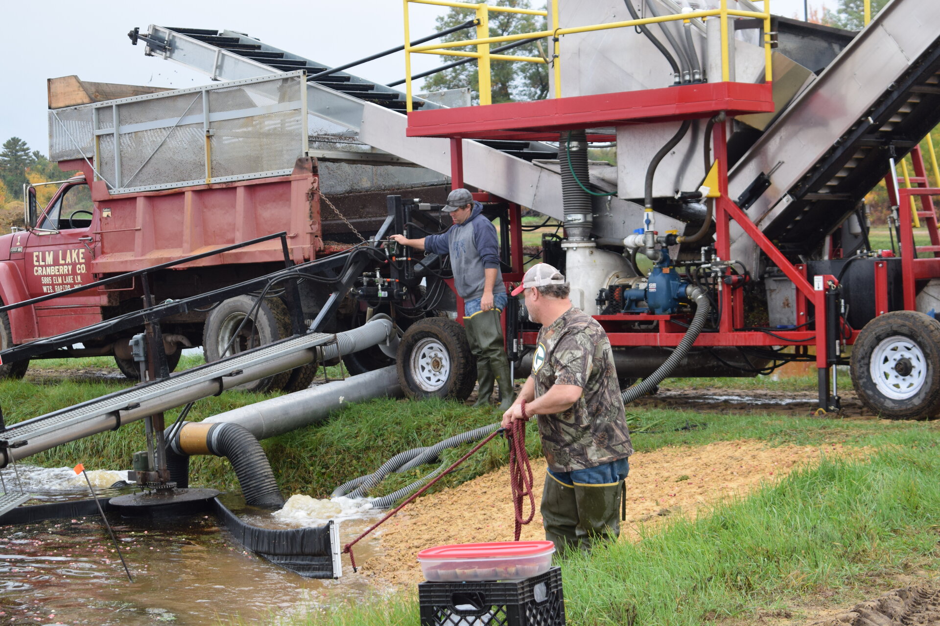 Team members working together