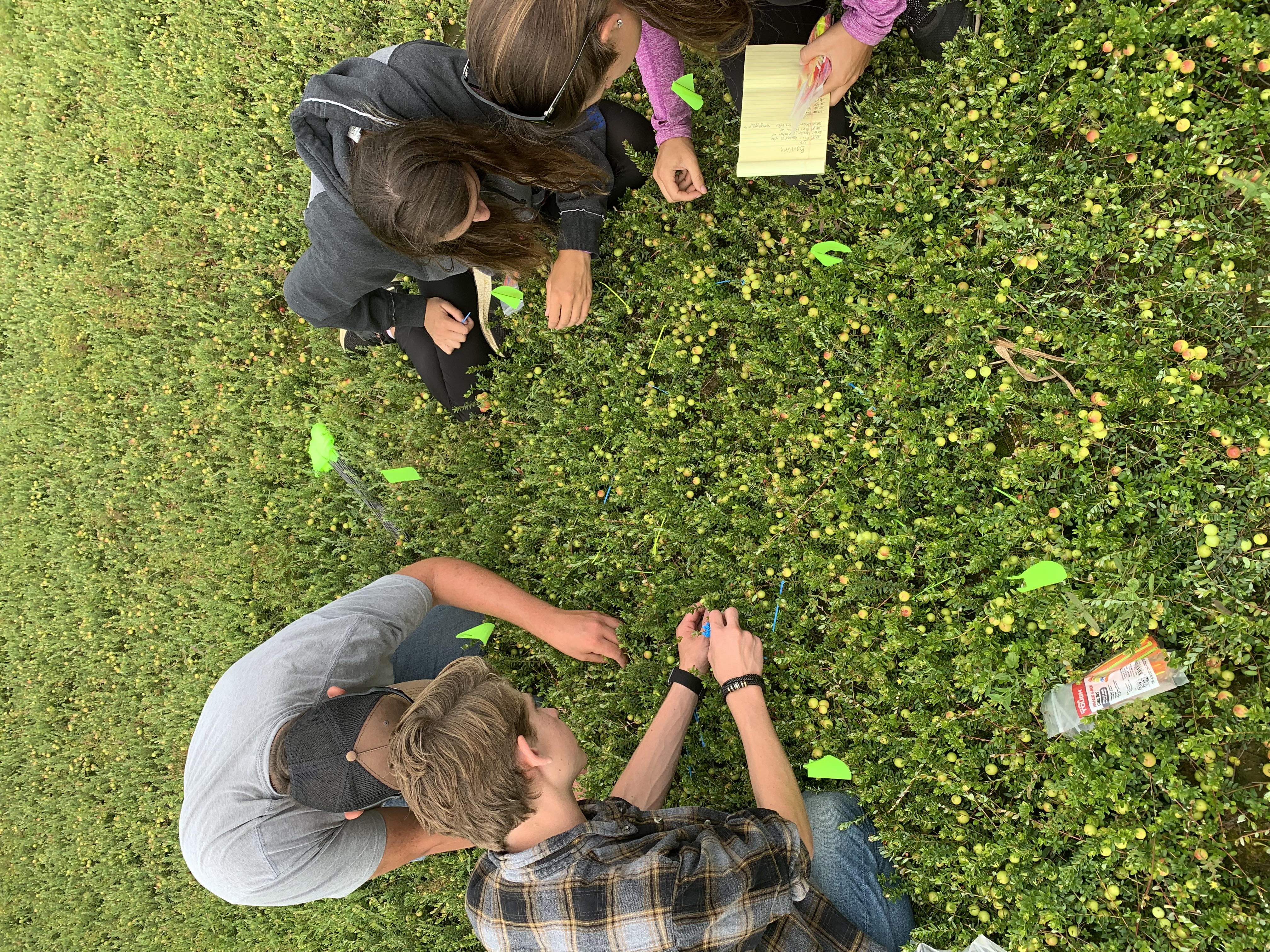 Researchers in the field