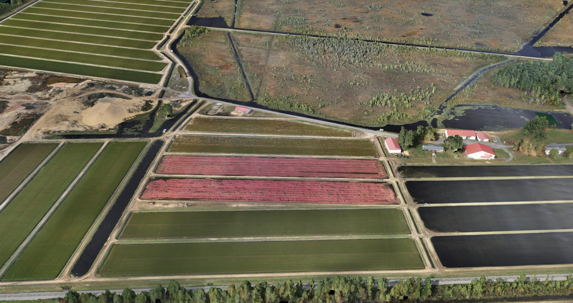 Aerial drone mapping of cranberry marsh